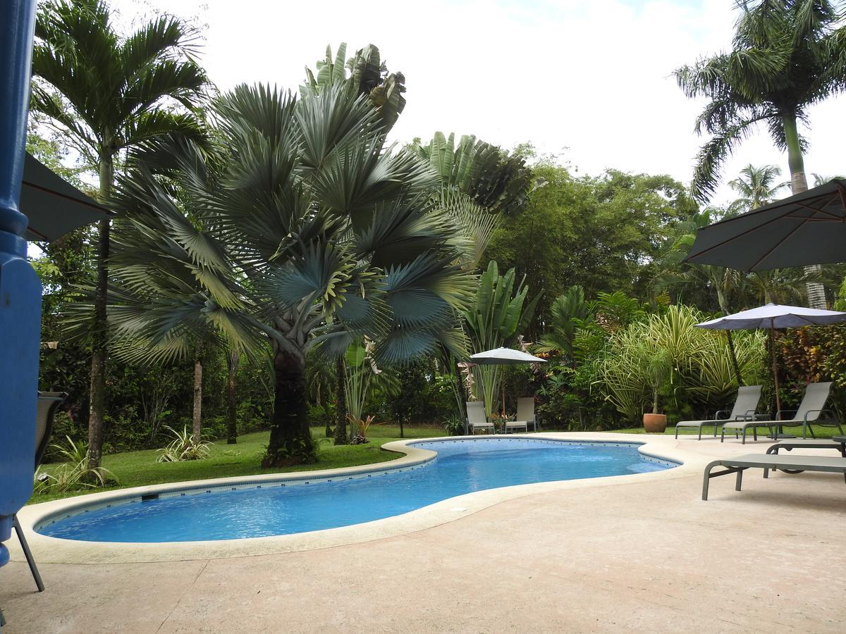 Playa Negra Guesthouse Cahuita Exterior photo