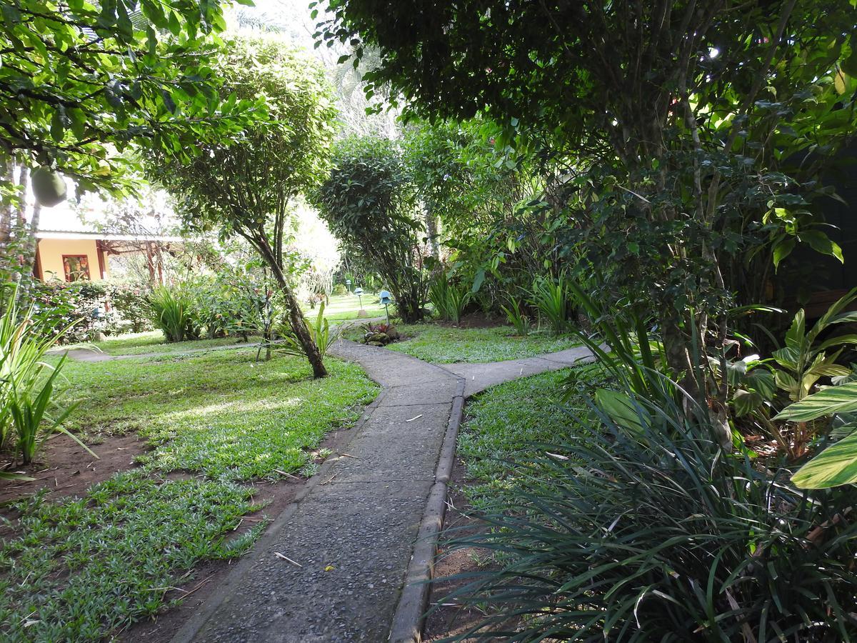 Playa Negra Guesthouse Cahuita Exterior photo