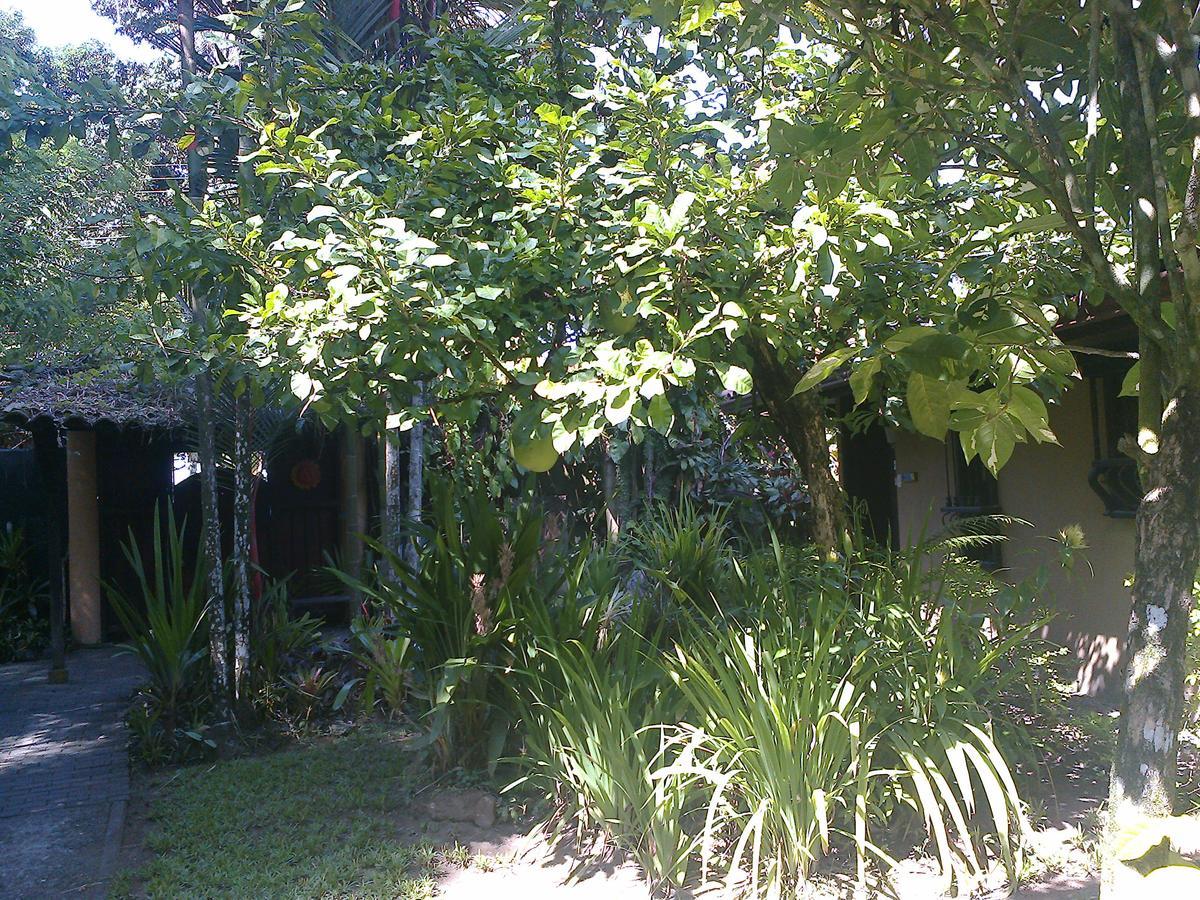 Playa Negra Guesthouse Cahuita Exterior photo