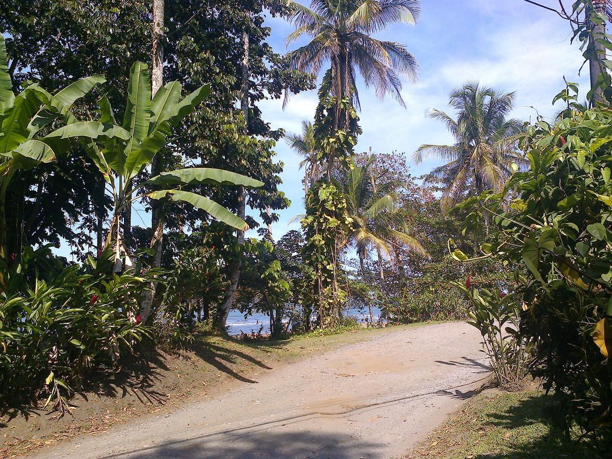 Playa Negra Guesthouse Cahuita Exterior photo